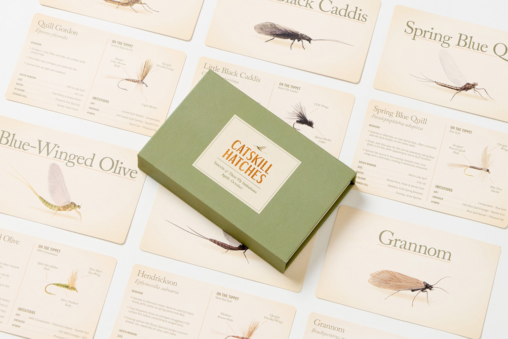 The Catskill Hatches box resting atop the fanned-out deck of hatch cards